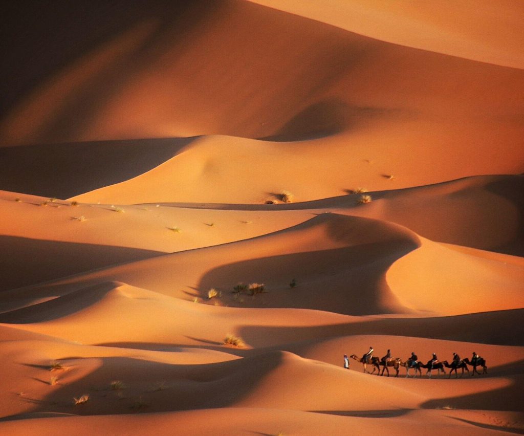 Mhamid Desert Tours