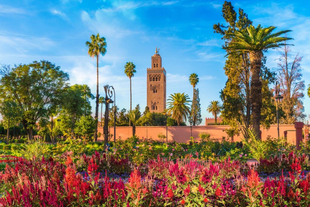 Marrakech  Gardens 