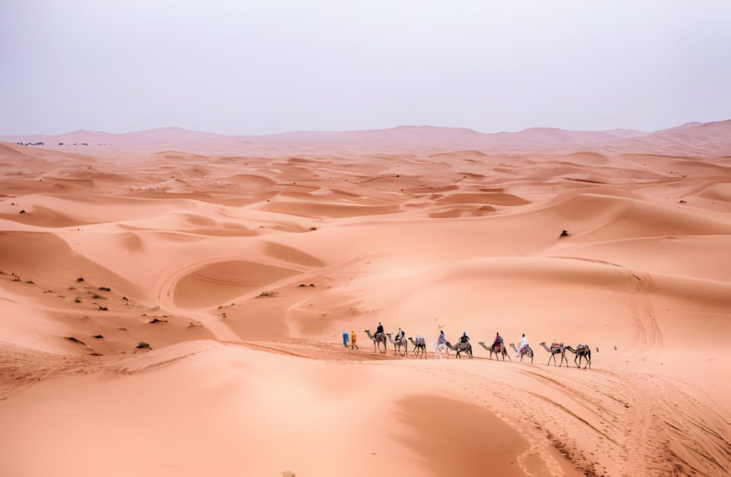 Erg Lihoudi Desert Tours